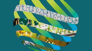 Du 14 au 20 août 2022, au centre des congrès d’Angers, le congrès horticole mondial IHC offrira une visibilité à l’enseignement technique horticole et du paysage. ©IHC